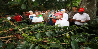 Nikmatnya Kopi Wamena Pada Festival Lembah Beliem 2019