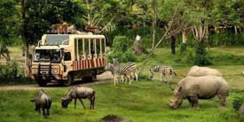 Taman Safari Indonesia Terima Donasi 1 Juta Yen dari Masyarakat Jepang