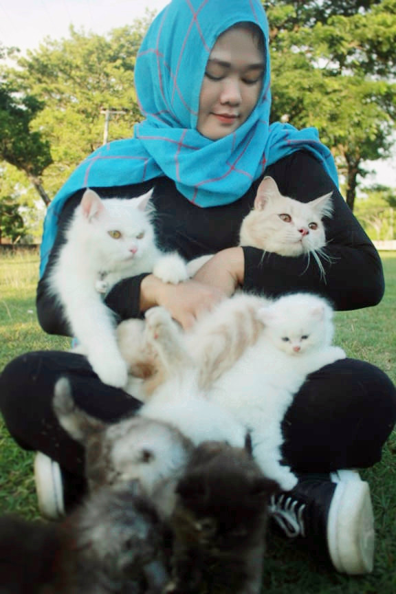 Komunitas Bone Cat Lovers Beri Motivasi Pencinta Kucing