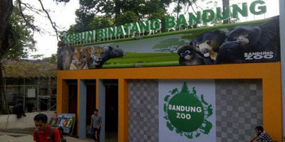 Atraksi Barongsai Sambut Imlek di Bazoga