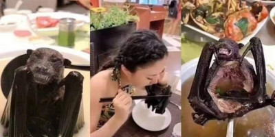 Sup Corona, Selera Purba Manusia