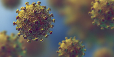 Virus Corona, Satu Keluarga dengan SARS dan MERS