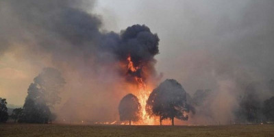 Ini Penyebab Kebakaran di Australia Menurut Pakar Fengshui