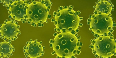 Masih Aman, Belum Ada Virus Corona Masuk ke Indonesia Via Transportasi Udara