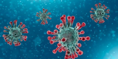 Begini Langkah Pemerintah DKI Antisipasi Virus Corona