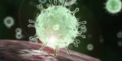 Mahasiswa WNI Nilai Pemberitaan Media di Indonesia Soal Virus Corona Berlebihan
