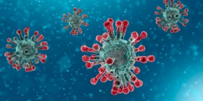 WNI di Wuhan Masih Was-was, Khawatir Terjangkit Virus Corona