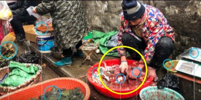 Trending di Youtube, Menelusuri Dugaan Munculnya Virus Corona dari Segi Agama