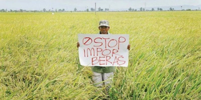 Anggota DPR dari PDIP Minta Bulog Tak Lagi Impor Beras 