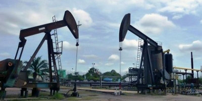 Kejar Target, Giant Discovery Harus Segera Ditemukan