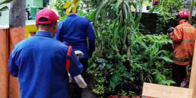 Seekor Biawak yang Berkeliaran di Pulau Tidung Dievakuasi 5 Personel