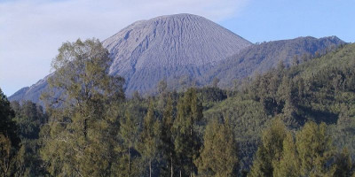 Hutan-hutan Ini Terkenal Angker dan Penuh Cerita Mistis