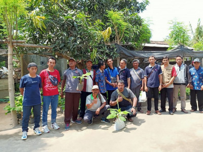 Membangun Kemandirian Ekonomi Masyarakat dengan Tanaman Pisang