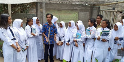 Lasiyo Tularkan Budidaya Pisang ke Milenial 