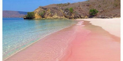 Eksotisnya Pantai Pink dan Tanjung Ringgit di Lombok Timur