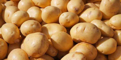 Ternyata, Jus Kentang Bermanfaat Banget untuk Kesehatan