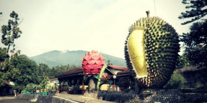 Ini Tempat-tempat Wisata Paling Eksis di Bogor 