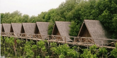 Pesona Hutan Mangrove Pantai Indah Kapuk