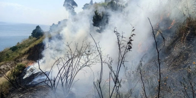 Curah Hujan Rendah, Hutan dan Lahan di Dusun Sigumoi Terbakar