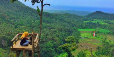 Rumah Pohon Gangga Sajikan Panorama Alam Nan Hijau 