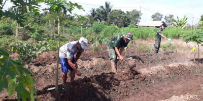 Berkebun di Perbatasan
