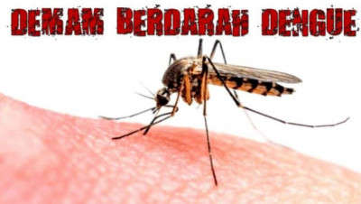 Selain Covid-19, Pemerintah Juga Harus Waspadai DBD