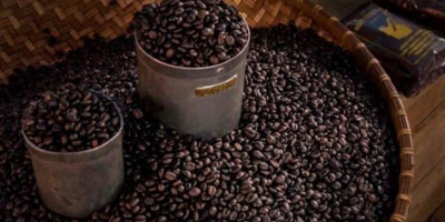 Biji Kopi Asal Indonesia yang Mendunia