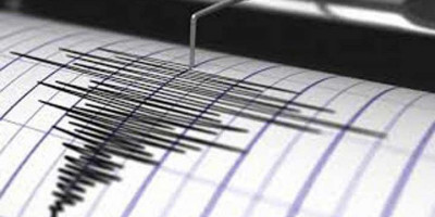 Gempa Sukabumi Dipicu Aktivitas Sesar Aktif, Kategori Gempa Lokal