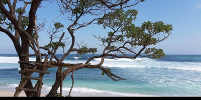 Pantai Ngalur, Surga di Selatan Tulungagung