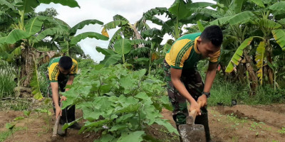 Menyulap Lahan Kosong Jadi Kebun Sayur   