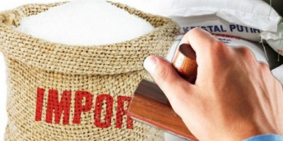 Pemerintah Jamin Impor Gula Tidak Ganggu Harga dan Produksi Tebu