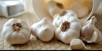 KPPU Peringatkan Importir Nakal Bawang Putih di Tengah Pandemi Corona