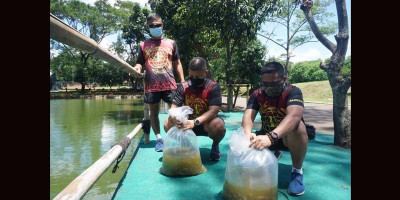 5000 Benih Ikan untuk Wujudkan Ketahanan Pangan  