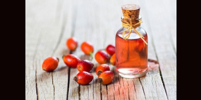 Minyak Rosehip untuk Kecantikan Kulit