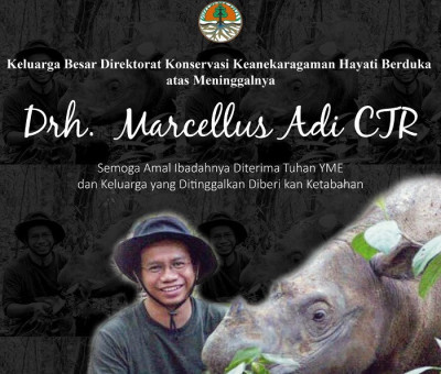 Direktur Aliansi Lestari Rimba Terpadu Marcellius Adi Tutup Usia