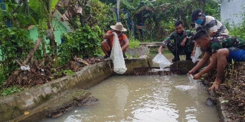 Penebaran Ikan Hias Menjaga Kelestarian Lingkungan 