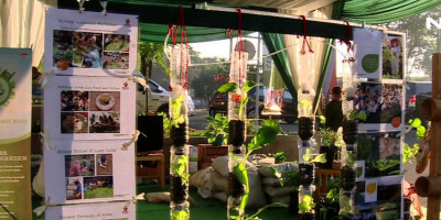 Asyiknya Berkebun di Rumah Selama Covid-19