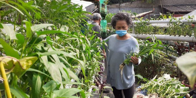 Bercocok Tanam Dukung Upaya Ketahanan Pangan Selama Pandemi Covid-19