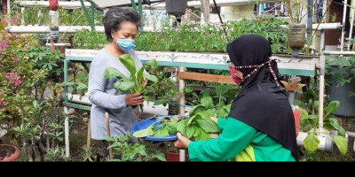 Ibu Ini Perkuat Ketahahan Pangan Keluarga di Tengah Pandemi dengan Urban Farming