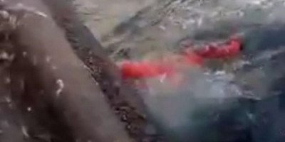 Memilukan, Perbudakan dan Pelarungan Jenazah ABK WNI Diduga Kembali Terjadi di Perairan Somalia