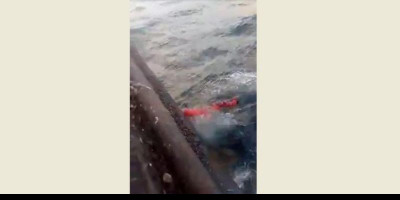  Ini Langkah Kemlu Sikapi Dugaan Perbudakan dan Pelarungan Jenazah di Kapal Luqing Yuan Yu 623