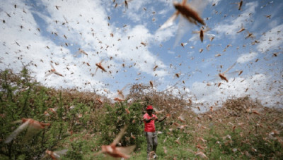 Lebih Serius dari Covid-19, Wabah Ini Buat Afrika Luluh Lantak