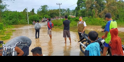 3,5 Hektare Sawah di Oku Selatan Terancam Gagal Panen Akibat Banjir
