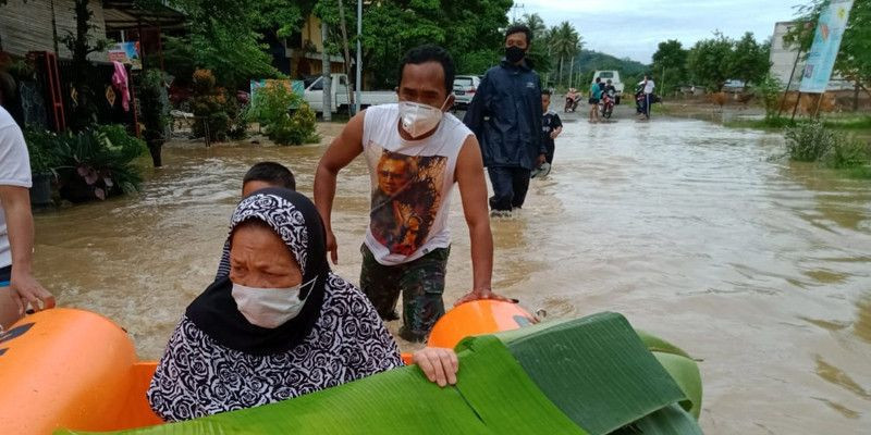 11 Sapi Hanyut Terbawa Banjir di Enrekang
