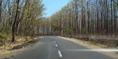 Misteri Pocong di Hutan Baluran Banyuwangi 