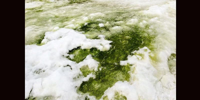 Perubahan Iklim Bikin Salju di Antartika Mirip Es Cincau  