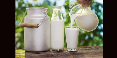 Tingkatkan Imunitas Tubuh dengan Susu Segar