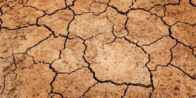 Waspadai Ancaman Kekeringan di Tengah Pandemi Corona