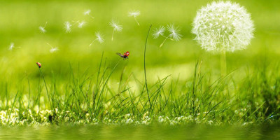 Ikhlas Menjalani, Pasrah Total