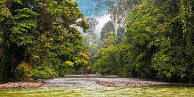 Suara Menakutkan di Alam
